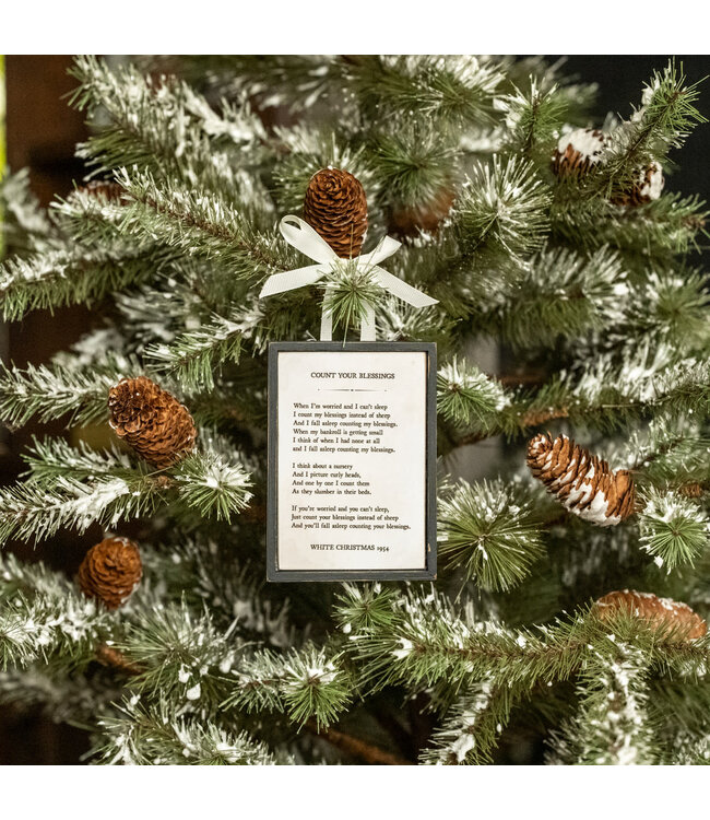Count Your Blessings Ornament