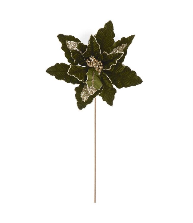 Dark Green Ribbed Velvet & Gold Sequin/Glittered Poinsett