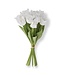13 Inch Real Touch Parrot Tulip Bundle