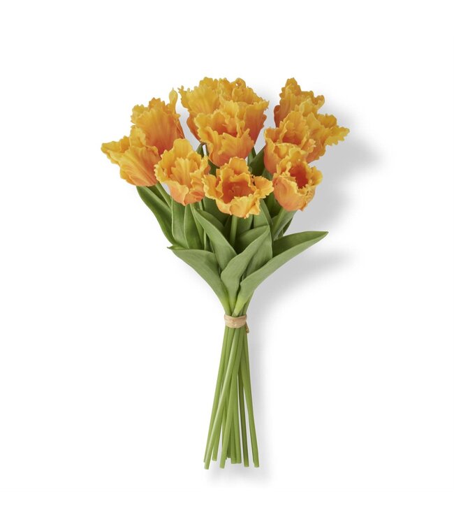 13 Inch Real Touch Parrot Tulip Bundle