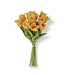 13 Inch Real Touch Parrot Tulip Bundle