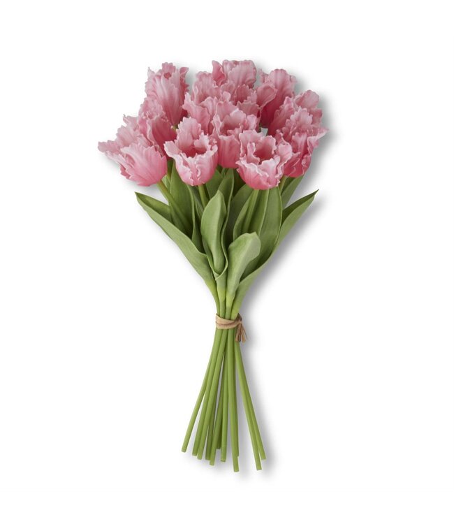 13 Inch Real Touch Parrot Tulip Bundle