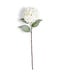 34" White Glittered Hydrangea Stem
