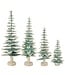 Evergreen Tree - Sold Individually