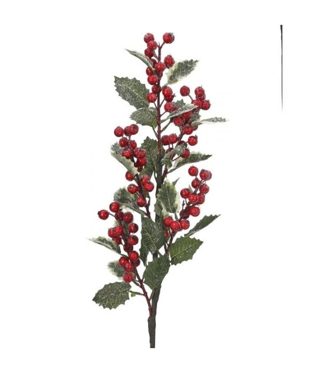 25" Frosted Wp Berry Holly Leaf Spray