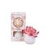 Sweet Grace Flower Diffuser