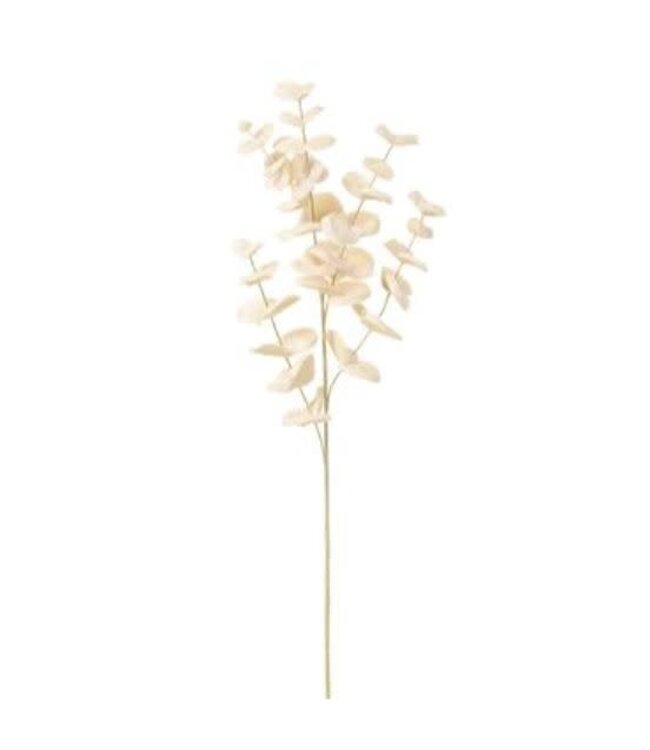 34"Fur Eucalyptus Leaf Spray - Cream