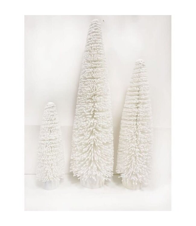 Snow Tip Bristle Tree