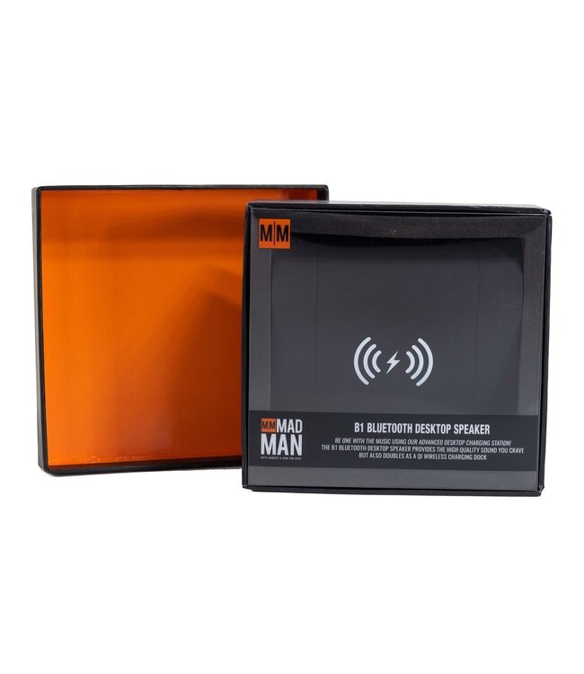 B1 Bluetooth Desktop Speaker