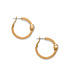 BRIGHTON Mystery of Love Gold Crystal Hoop Earrings