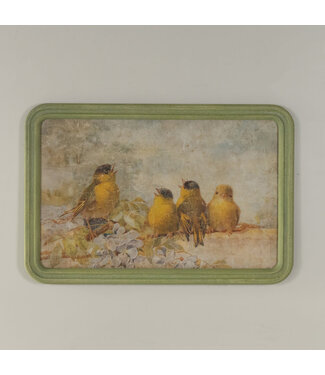 Framed Singing Birds Print