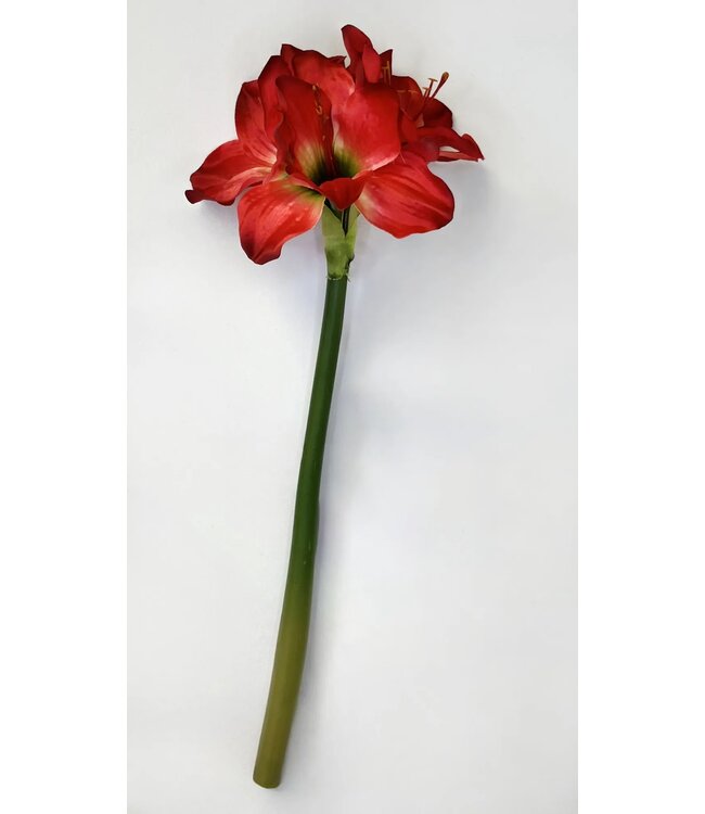 16" Amaryllis Spray