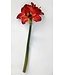 16" Amaryllis Spray
