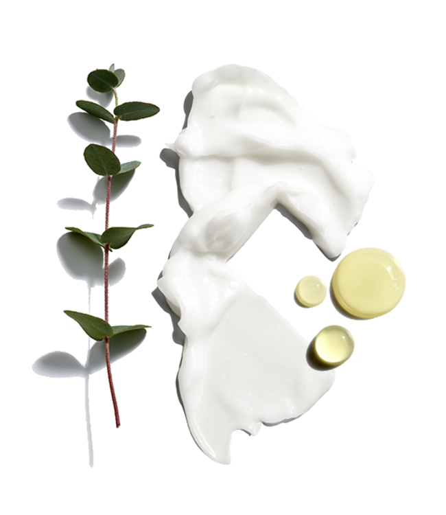 JACK BLACK Beard Lube Conditioning Shave 3 Oz