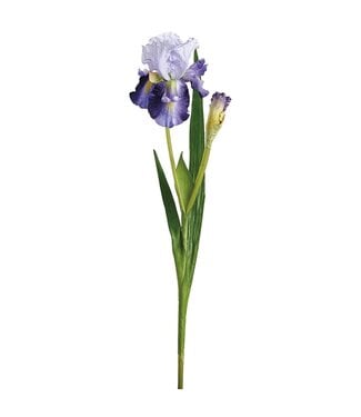 37" Iris Spray Purple Lavender