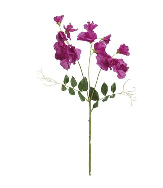 26.75 Inch Sweetpea Spray