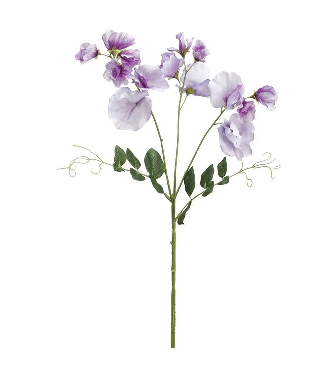 26.75 Inch Sweetpea Spray