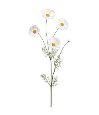 36.25 Inch Cosmos Spray White