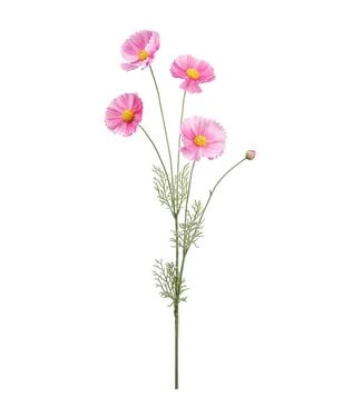 36.25 Inch Cosmos Spray Fuchsia