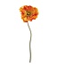30 Inch Poppy Spray