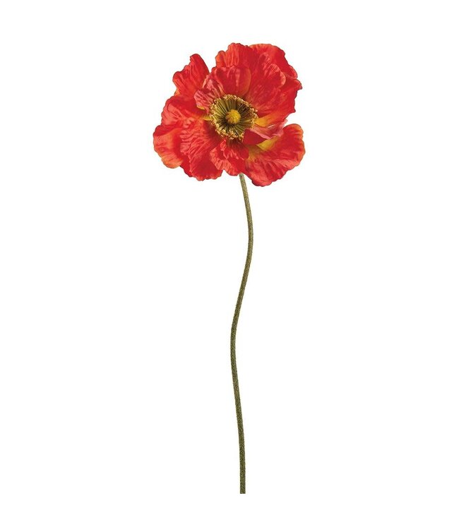 30 Inch Poppy Spray