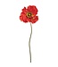 30 Inch Poppy Spray