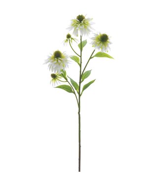29 Inch Rudbeckia Spray White
