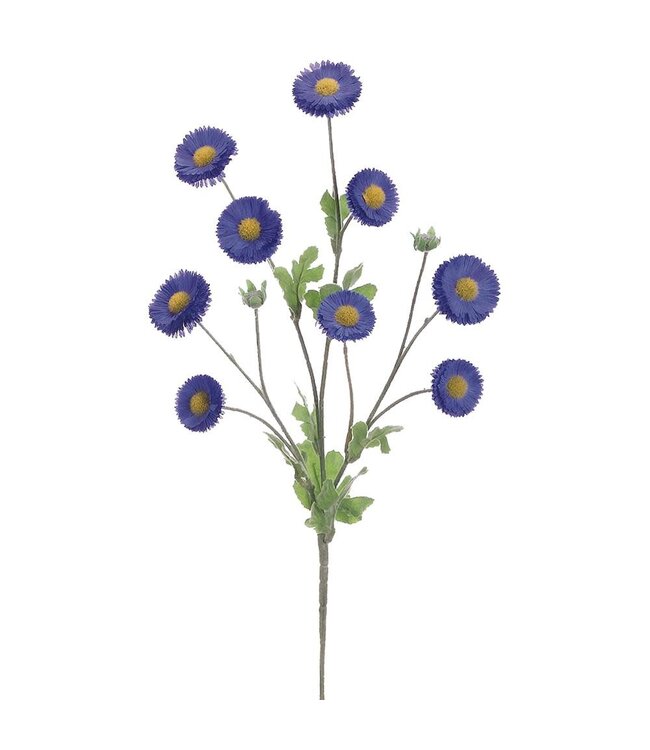 29 Inch Aster Daisy Spray