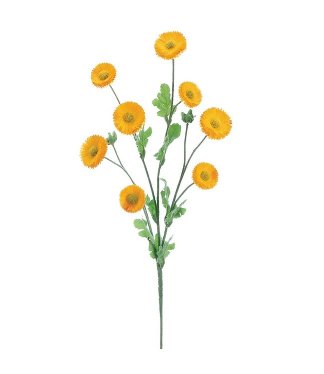 29 Inch Aster Daisy Spray