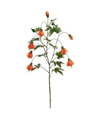 38.5 Inch Abutilon Spray Orange