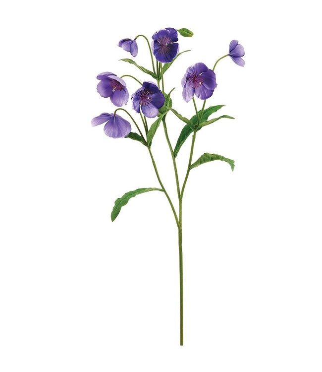 47 Inch Helleborus Spray