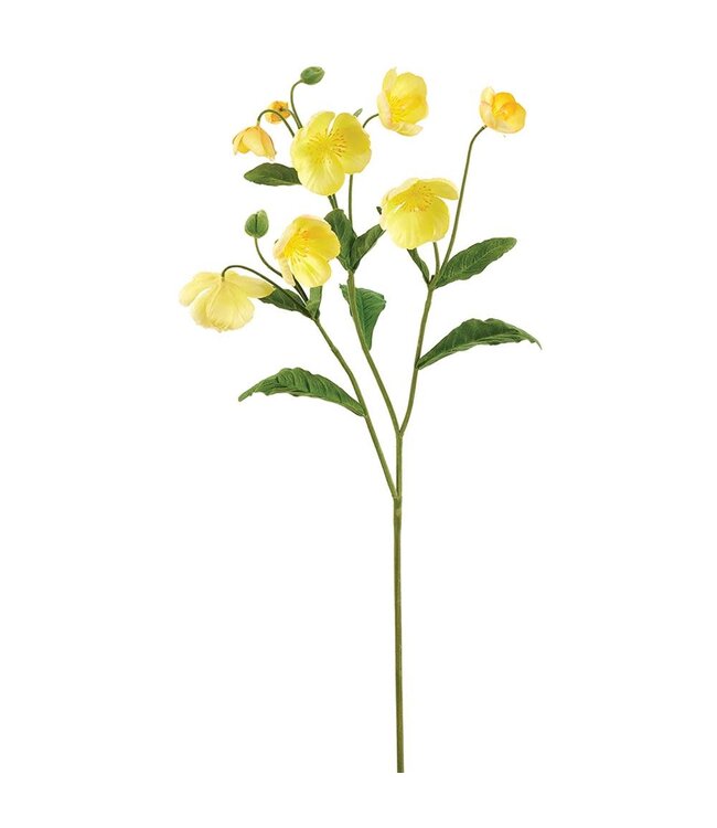 47 Inch Helleborus Spray