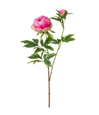 26.5 Inch Peony Spray Fuchasia