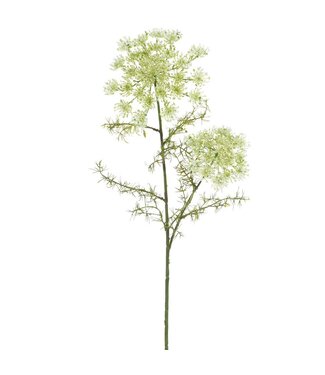 28 Inch Queen Anne's Lace Spray Cream