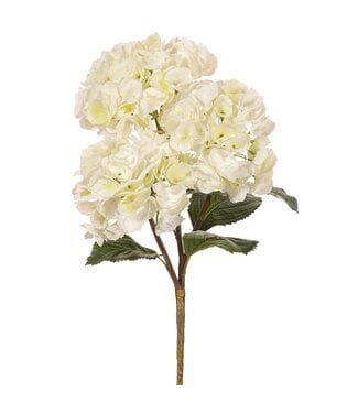 20 Inch Hydrangea Spray White