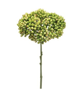 12.5" Sedum Spray Green