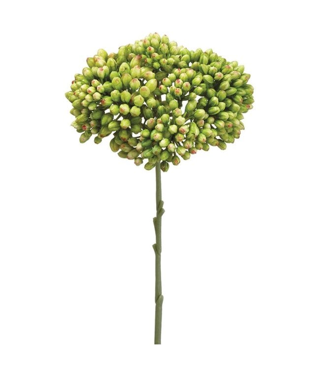 12.5" Sedum Spray Green