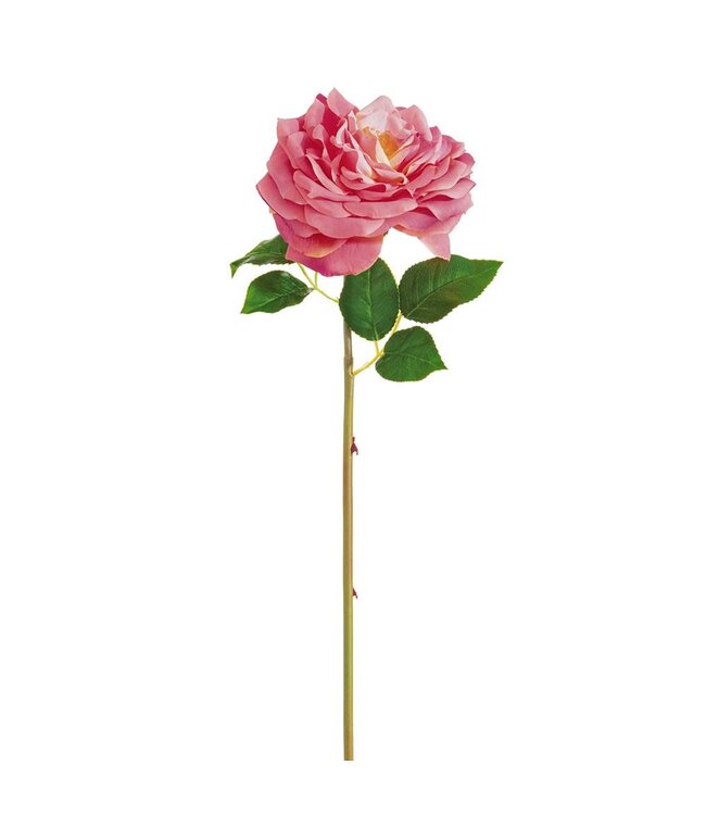 20 Inch Open Cabbage Rose Spray