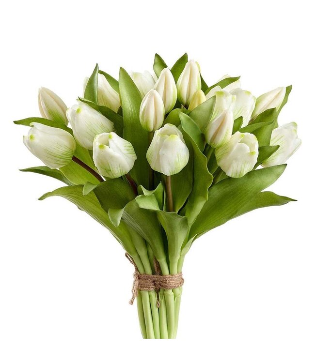 11.75" Tulip Bouquet