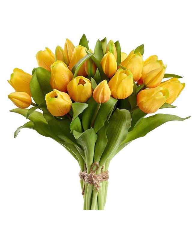 11.75" Tulip Bouquet