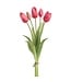 16 Inch Real Touch Dutch Tulip Bouquet