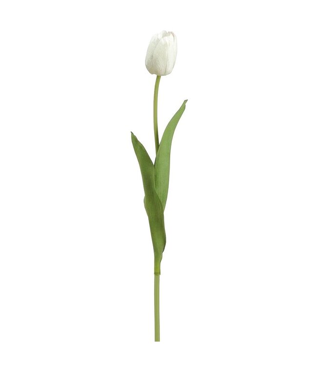 26 Inch Tulip Bud Spray