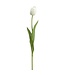 26 Inch Tulip Bud Spray