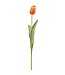 26 Inch Tulip Bud Spray
