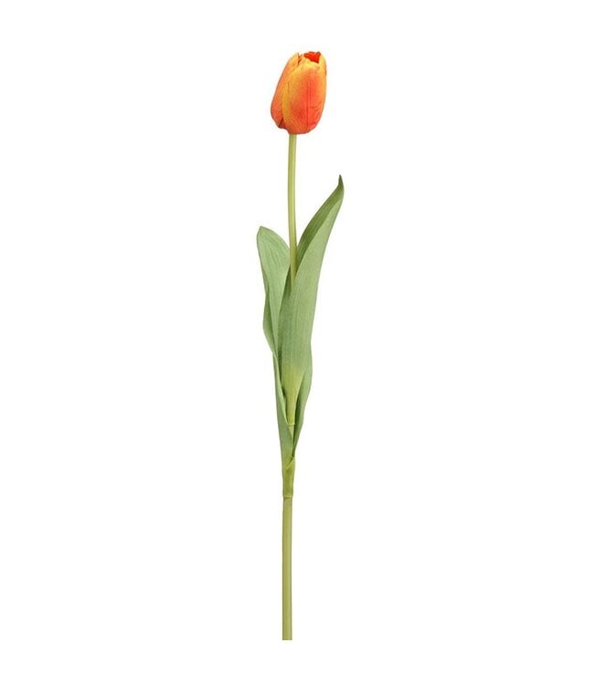 26 Inch Tulip Bud Spray