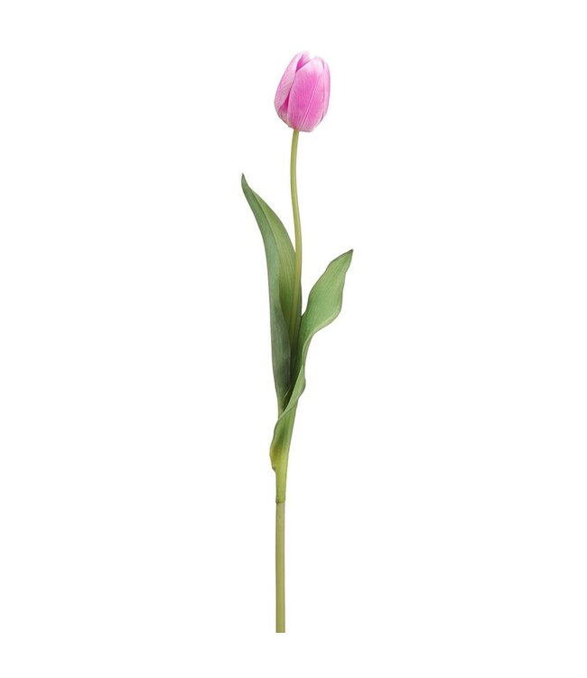 26 Inch Tulip Bud Spray