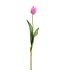 26 Inch Tulip Bud Spray