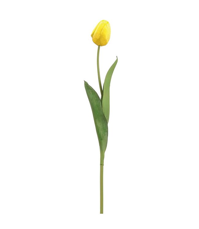 26 Inch Tulip Bud Spray