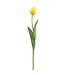 26 Inch Tulip Bud Spray