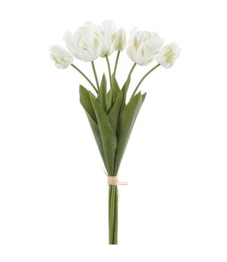 24 Inch Real Touch Parrot Tulip Bundle x6